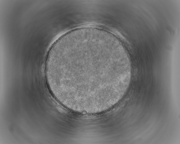 X0000110761216200907271137