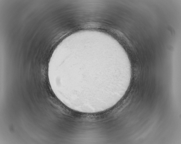 X0000110761217200907271137