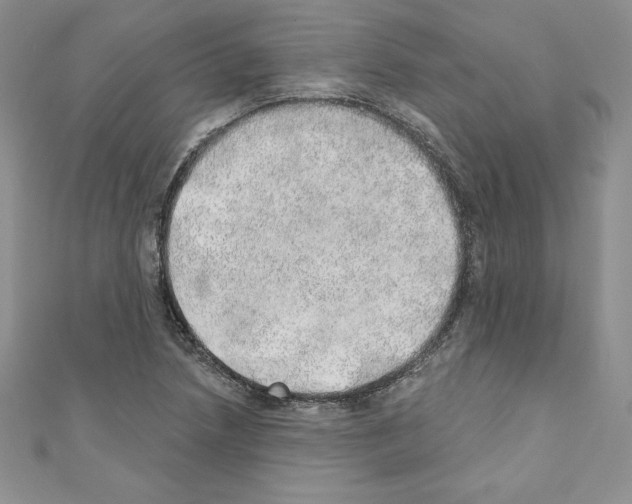 X0000110761218200907271137