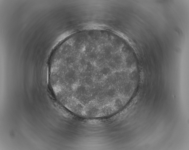 X0000110761219200907271137