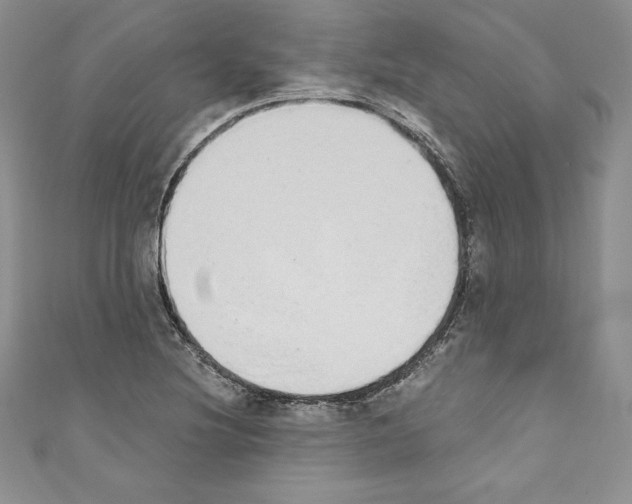 X0000110761220200907271137