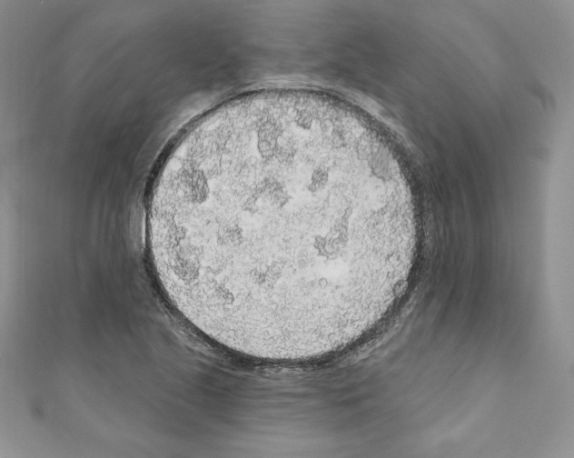 X0000110761221200907271137