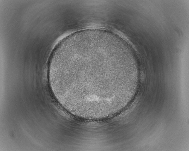 X0000110761222200907271137