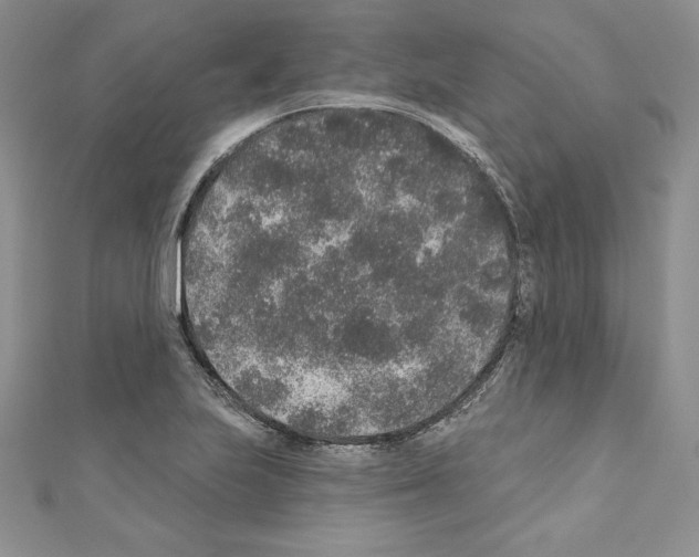 X0000110761223200907271137