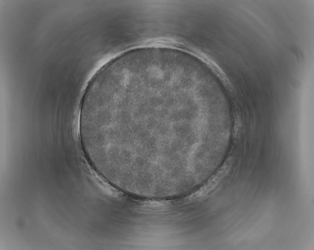 X0000110761224200907271137