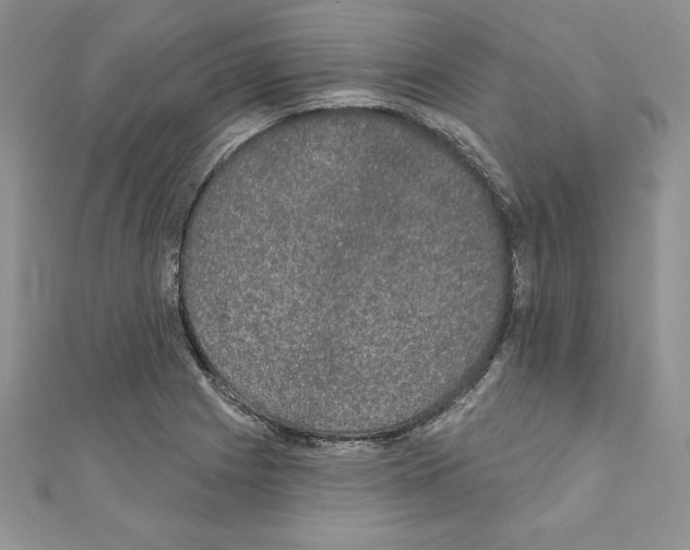 X0000110761225200907271137