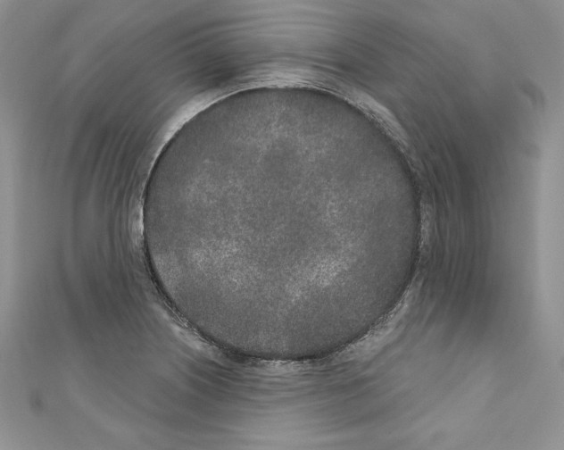 X0000110761226200907271137