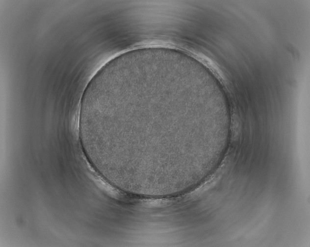 X0000110761228200907271137
