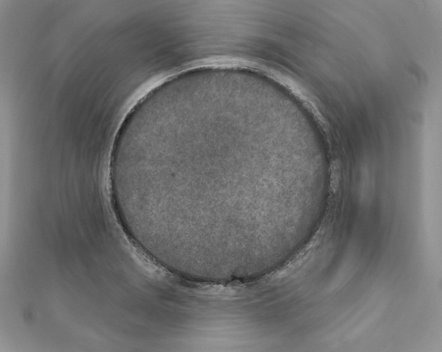 X0000110761229200907271137