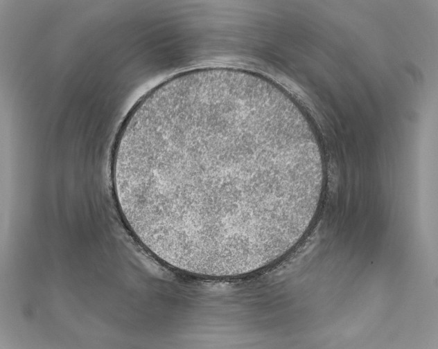 X0000110761230200907271137