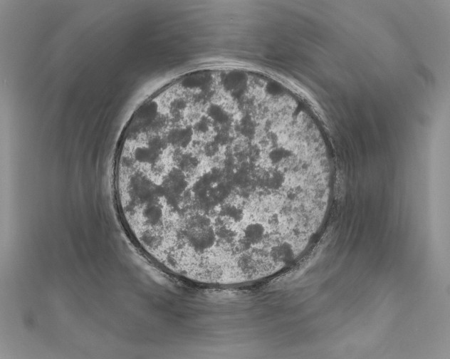 X0000110761231200907271137