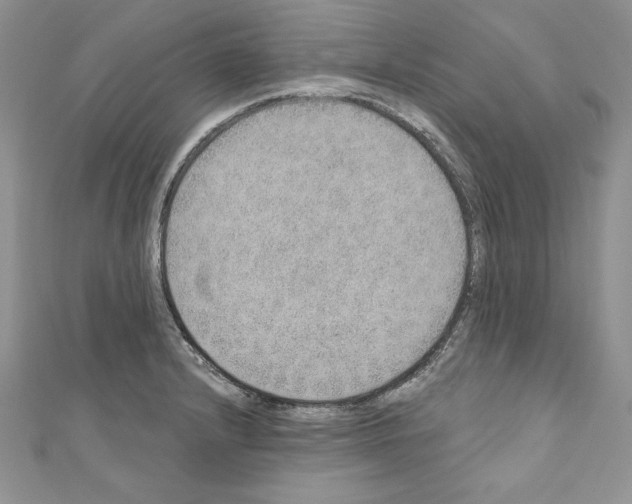 X0000110761232200907271137