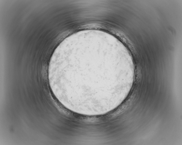 X0000110761233200907271137