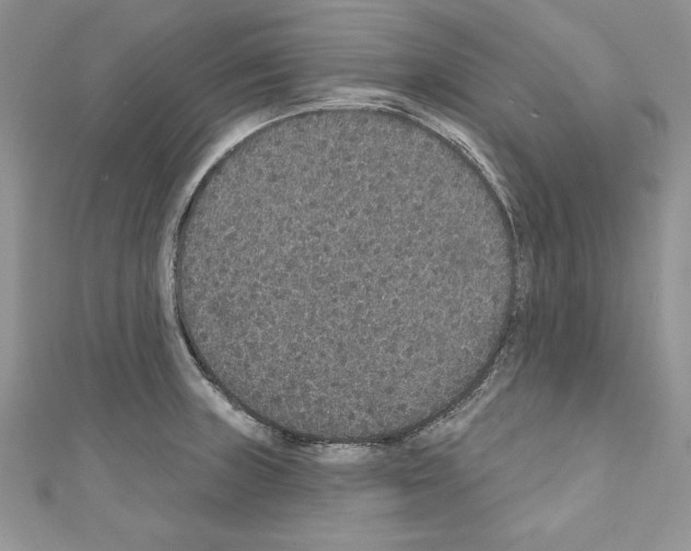 X0000110761235200907271137