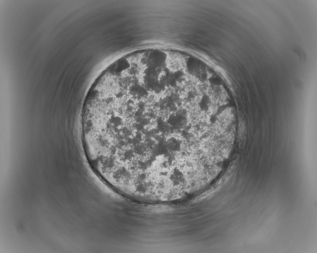 X0000110761239200907271137