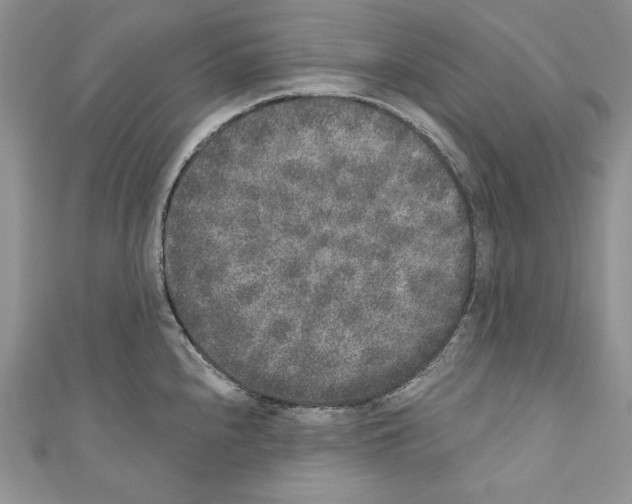 X0000110761240200907271137