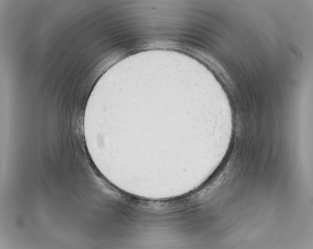 X0000110761241200907271137
