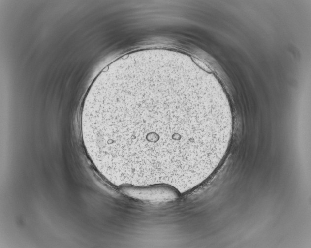 X0000110761242200907271137