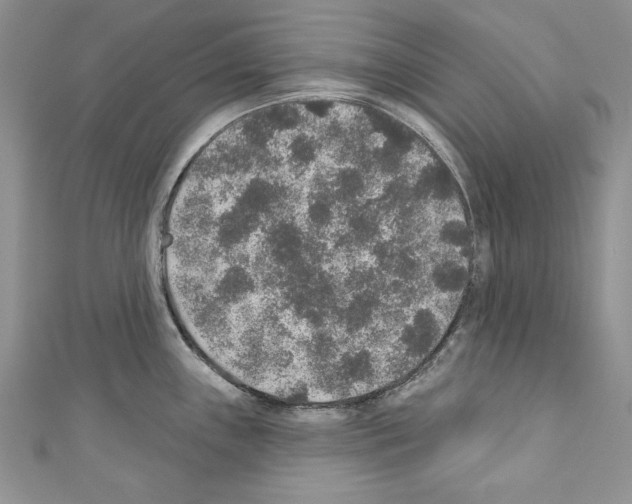 X0000110761243200907271137