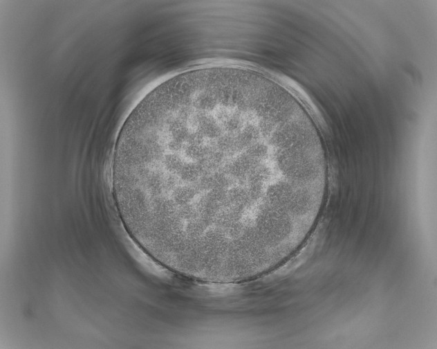 X0000110761244200907271137