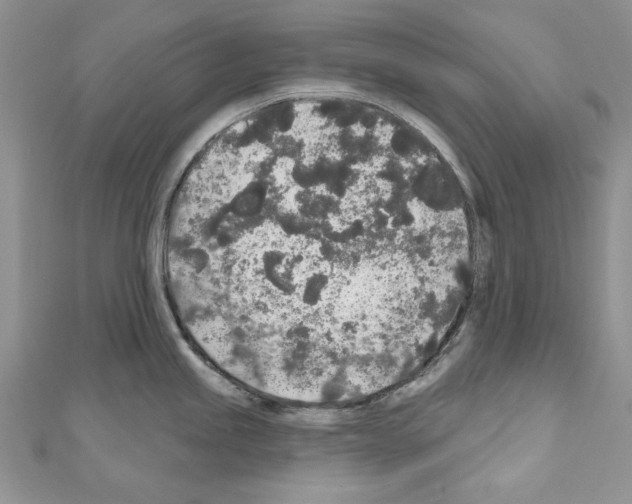 X0000110761245200907271137
