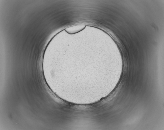 X0000110761246200907271137