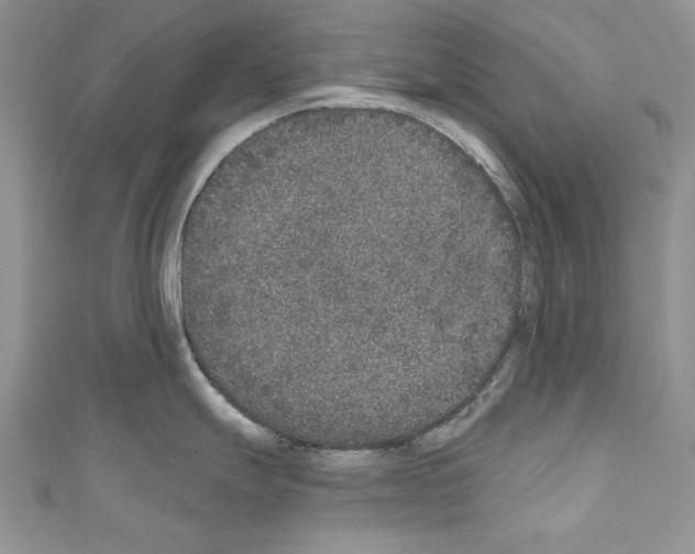 X0000110761247200907271137