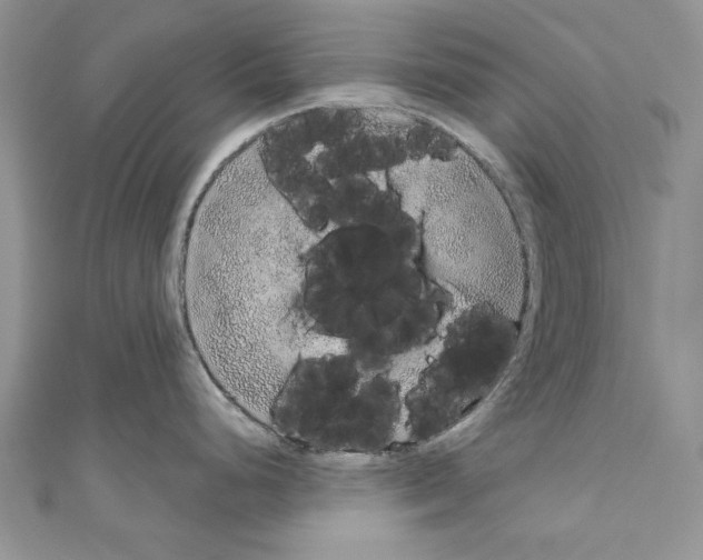 X0000110761248200907271137