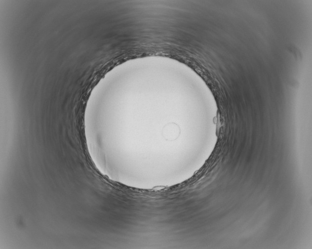 X0000110761249200907271136