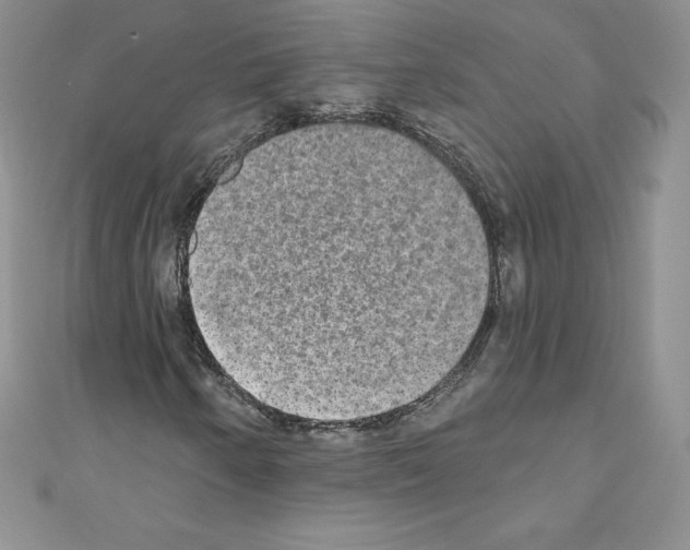 X0000110761250200907271136