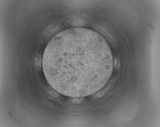 X0000110761251200907271136