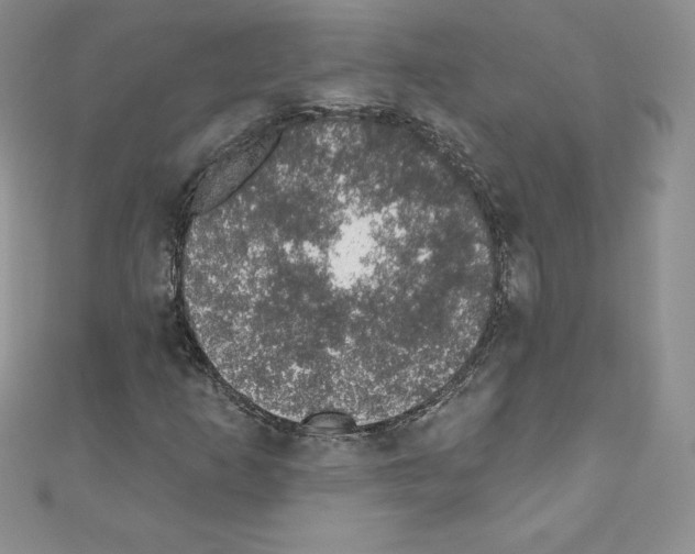 X0000110761253200907271136
