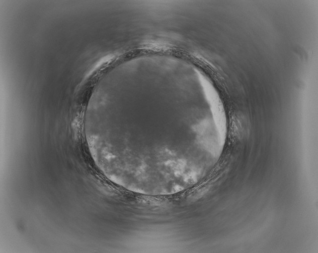 X0000110761254200907271136