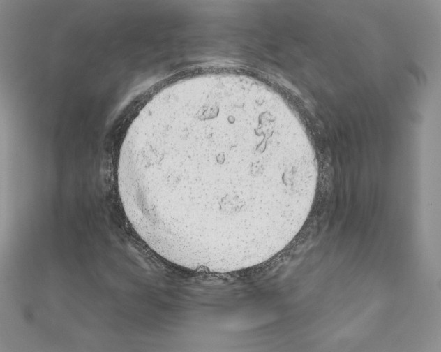 X0000110761255200907271136