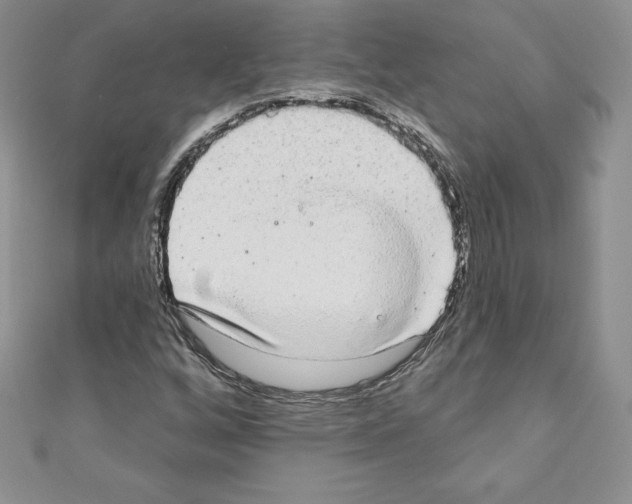 X0000110761256200907271136