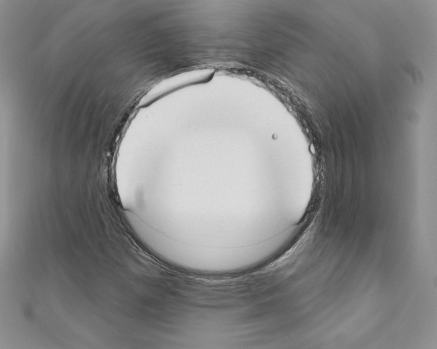 X0000110761257200907271136