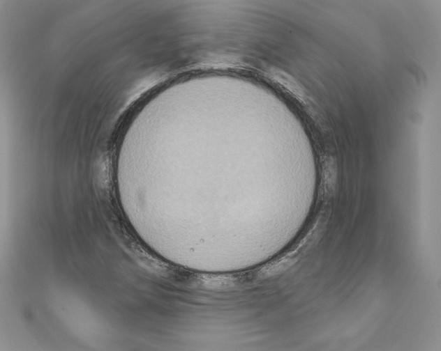 X0000110761258200907271136
