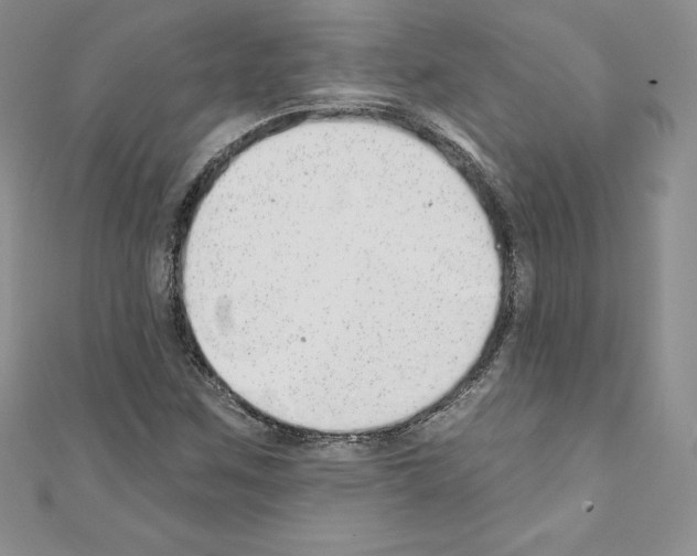 X0000110761259200907271136