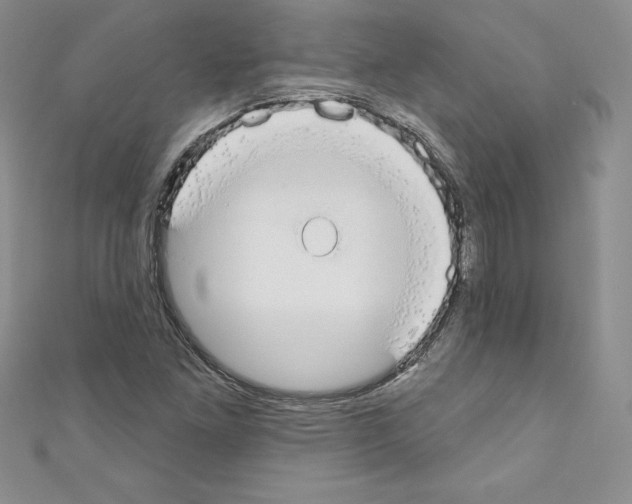 X0000110761261200907271136