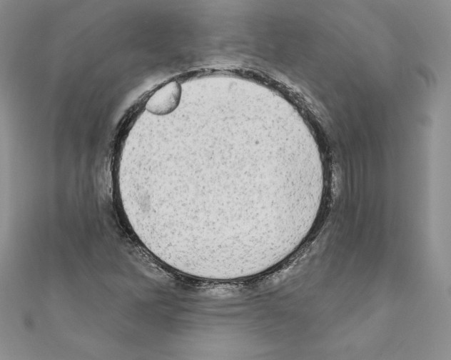 X0000110761262200907271136