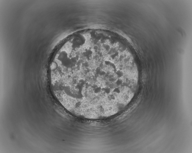 X0000110761263200907271136