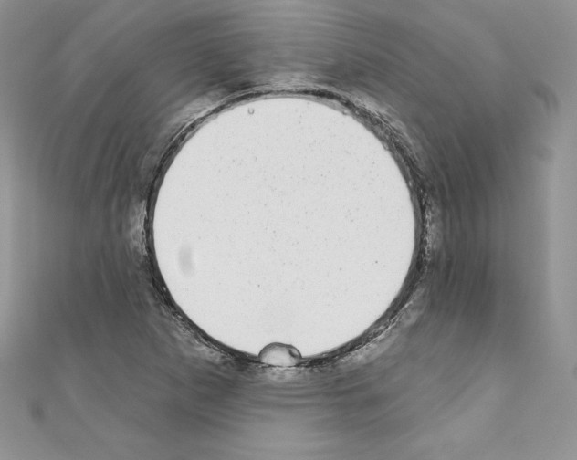 X0000110761265200907271136