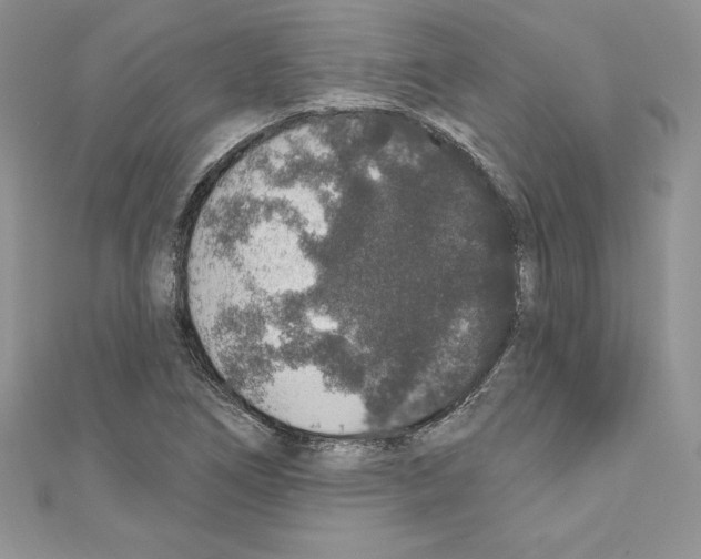 X0000110761266200907271136