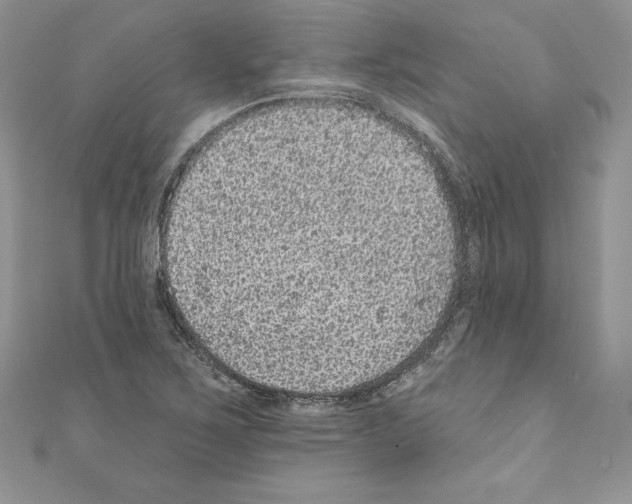 X0000110761267200907271136
