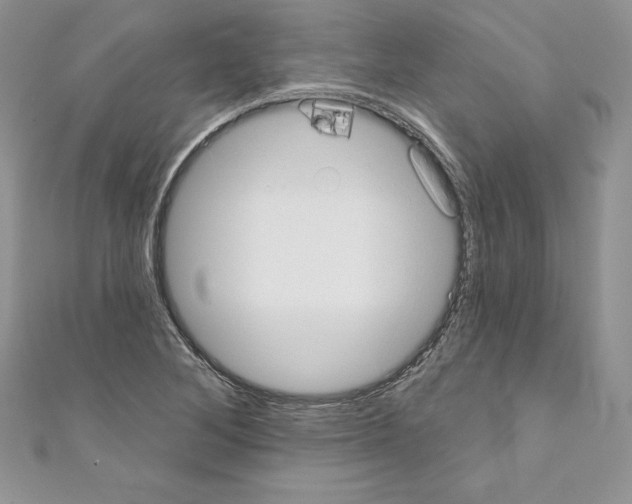 X0000110761268200907271136