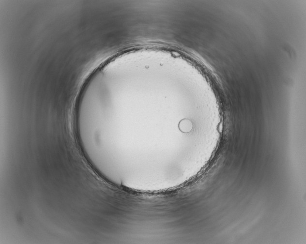 X0000110761269200907271136