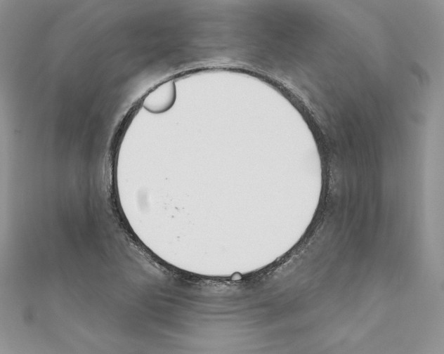 X0000110761270200907271136