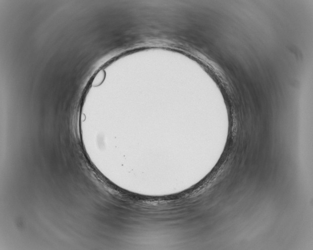 X0000110761272200907271136