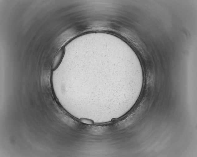 X0000110761273200907271136