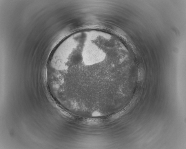 X0000110761274200907271136